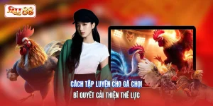 Cách Tập Luyện Cho Gà Chọi | Bí Quyết Cải Thiện Thể Lực