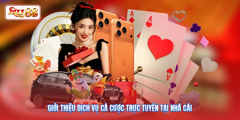 Giới thiệu dịch vụ cá cược trực tuyến tại nhà cái