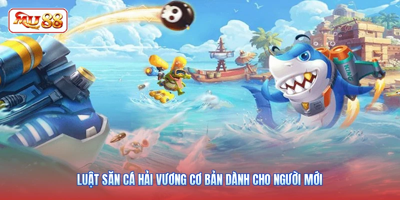 Luật săn cá Hải Vương cơ bản dành cho người mới