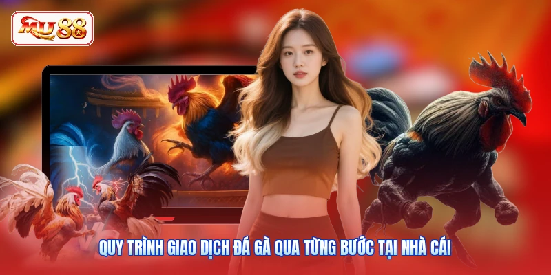Quy trình giao dịch đá gà qua từng bước tại nhà cái